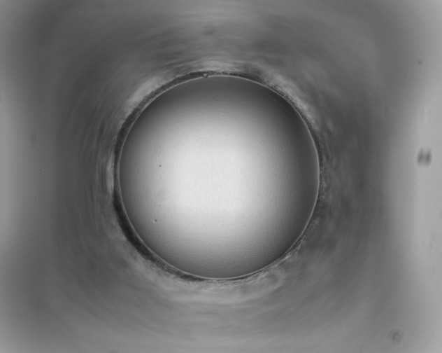 X0000095120011200712071251