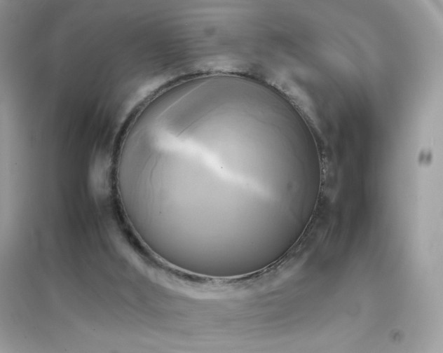 X0000095120012200712071251