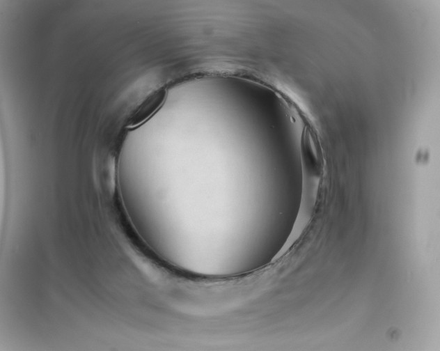 X0000095120013200712071251