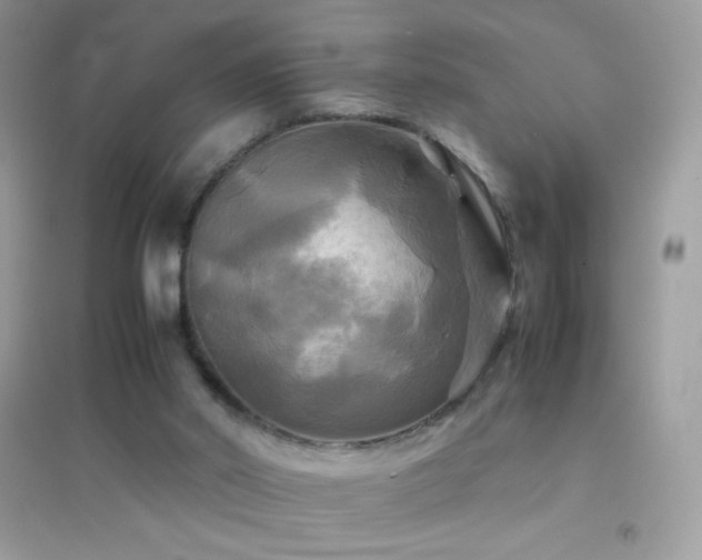 X0000095120014200712071251