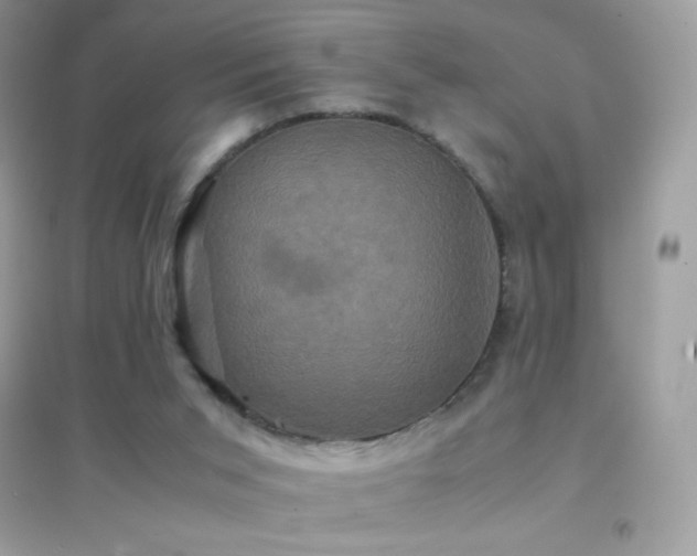 X0000095120015200712071251