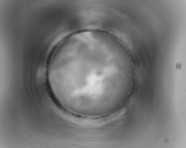 X0000095120016200712071251