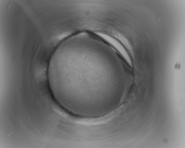 X0000095120017200712071251