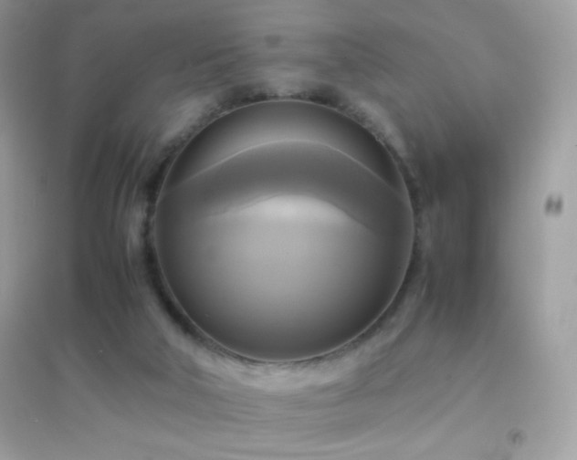 X0000095120018200712071251