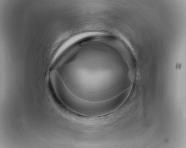 X0000095120019200712071251