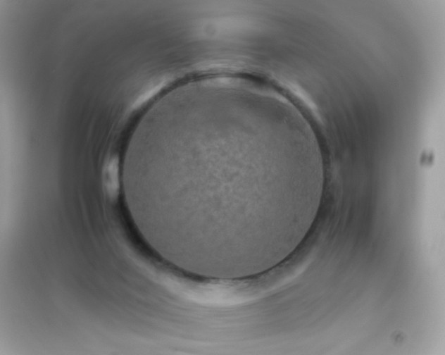 X0000095120020200712071251