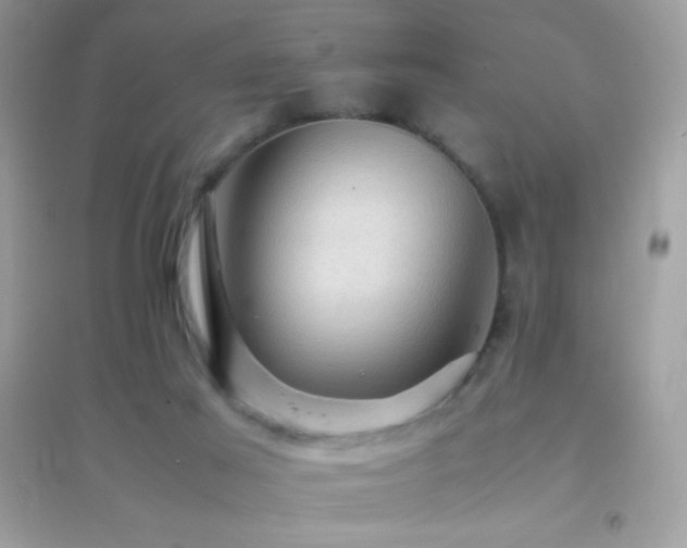 X0000095120021200712071251