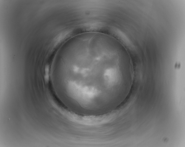 X0000095120022200712071251