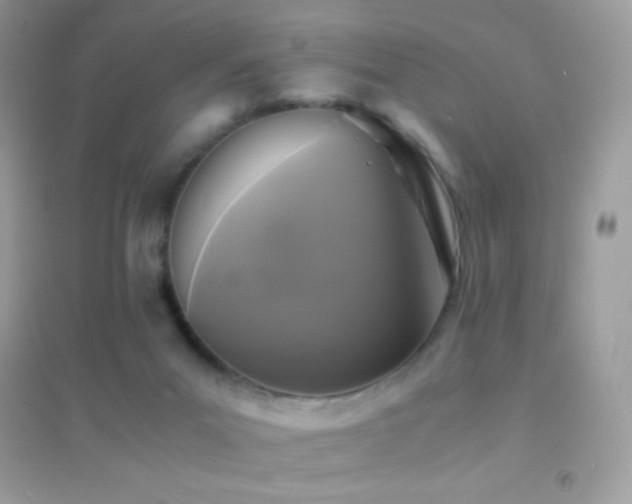 X0000095120023200712071251