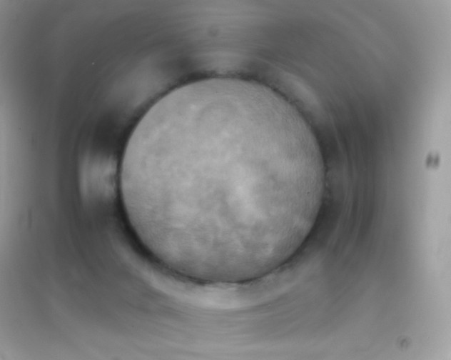 X0000095120024200712071251