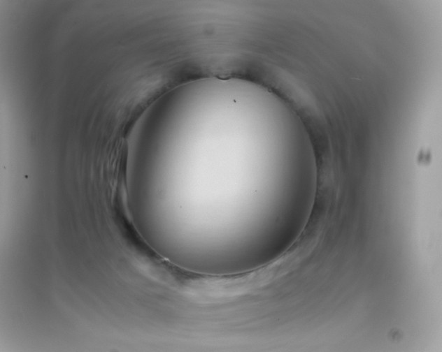 X0000095120025200712071250