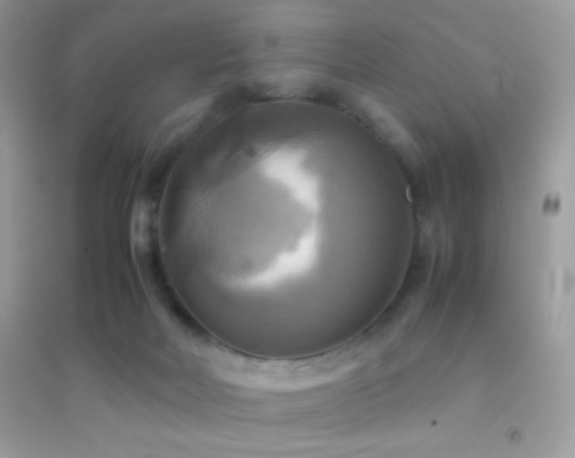 X0000095120026200712071250