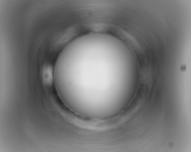 X0000095120028200712071250