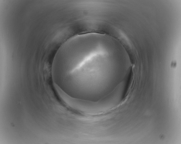 X0000095120029200712071250