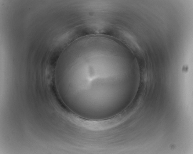 X0000095120030200712071250