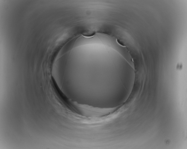 X0000095120031200712071250