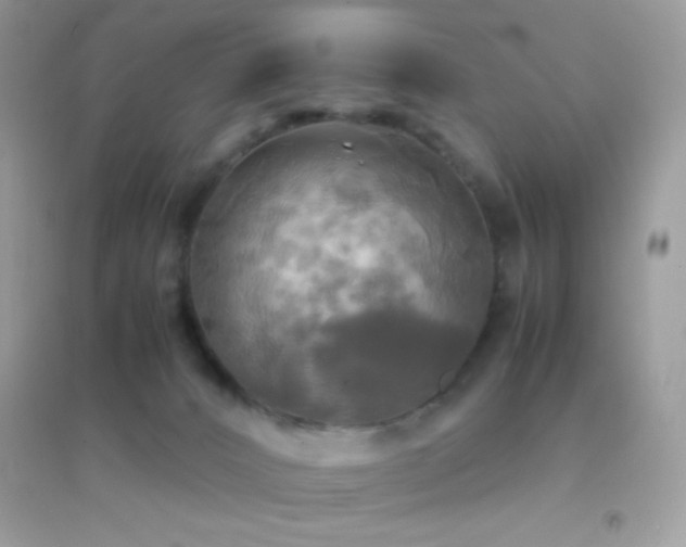 X0000095120032200712071250