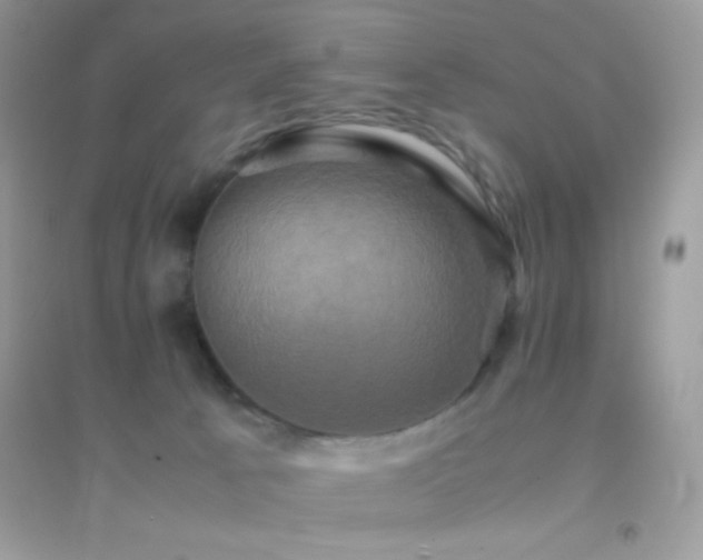 X0000095120033200712071250