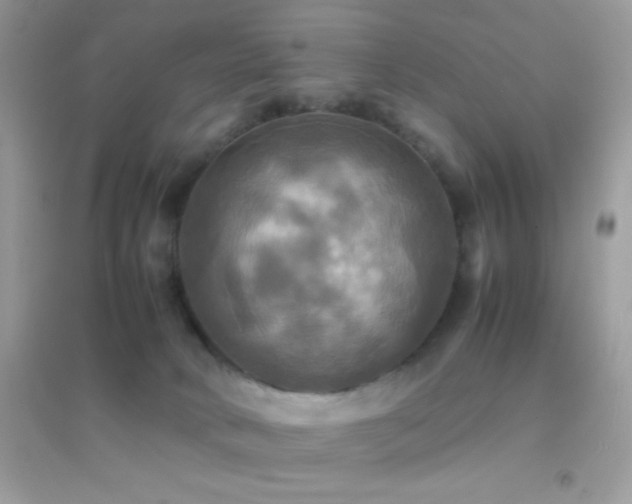 X0000095120034200712071250