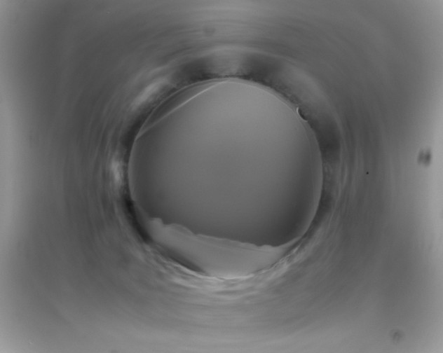 X0000095120035200712071250