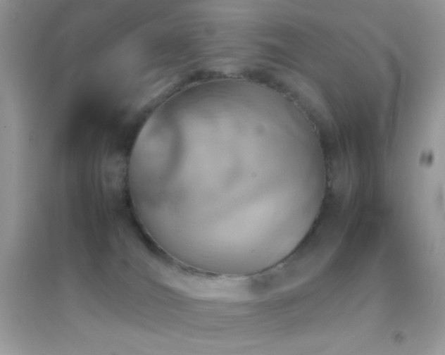 X0000095120036200712071250