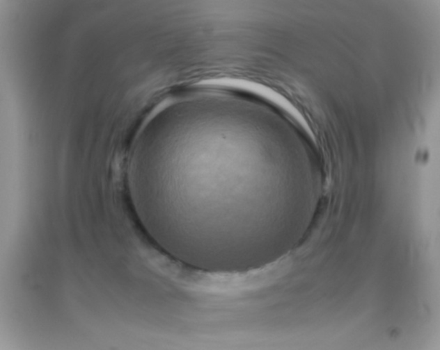 X0000095120037200712071250