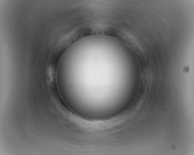 X0000095120038200712071250