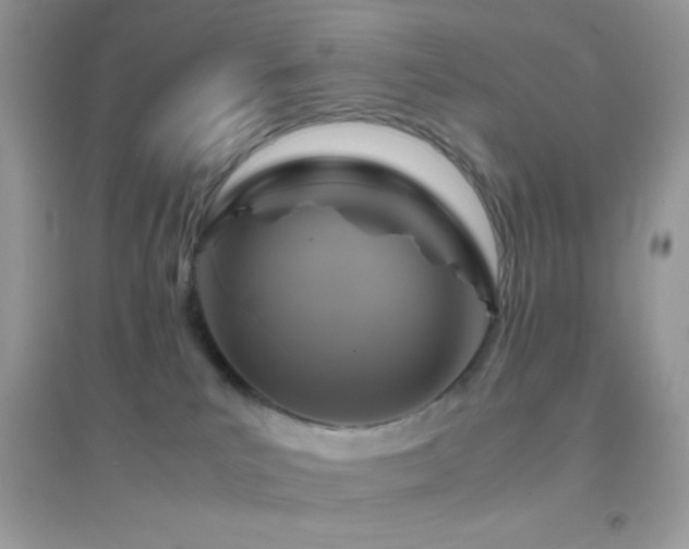 X0000095120039200712071250