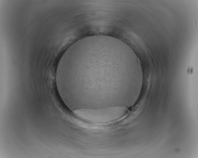 X0000095120040200712071250