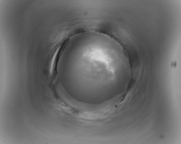 X0000095120041200712071250