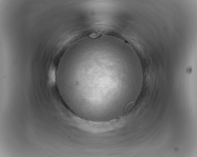 X0000095120042200712071250