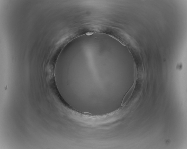 X0000095120043200712071250