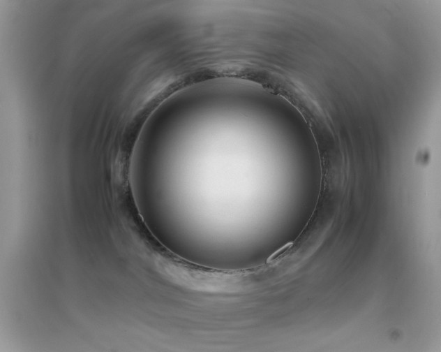 X0000095120044200712071250