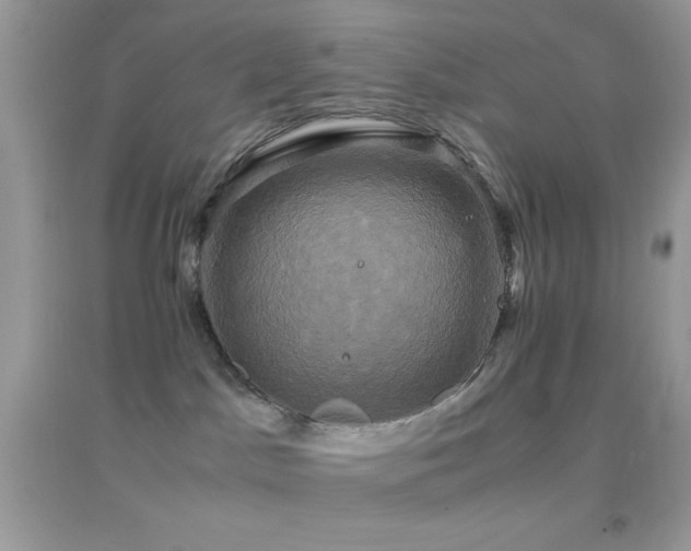 X0000095120045200712071250