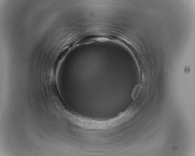 X0000095120048200712071250