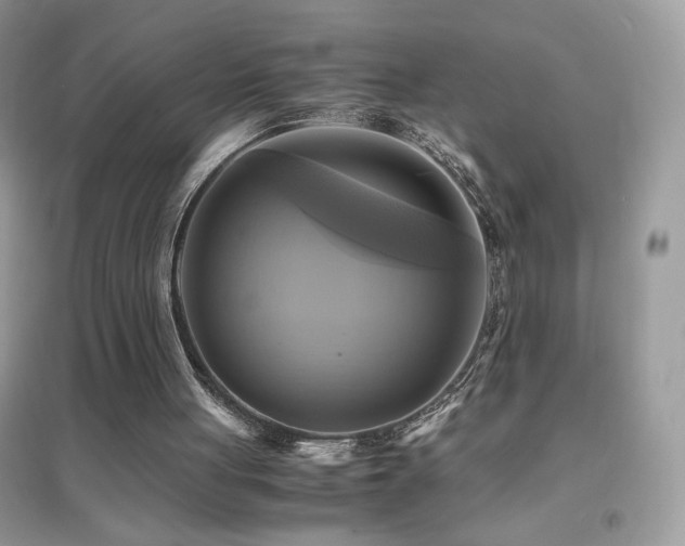 X0000095120051200712071249