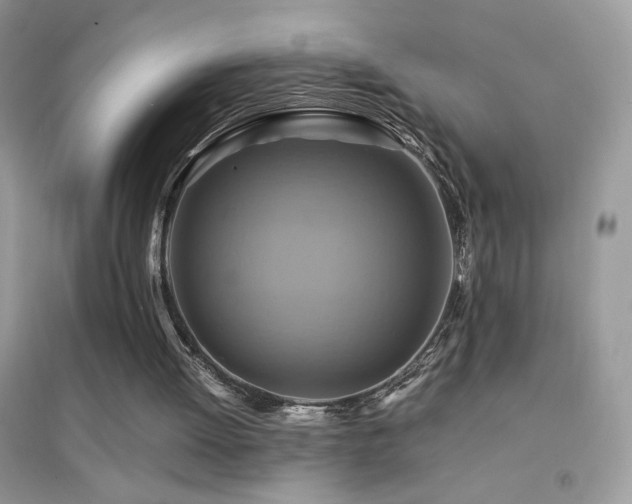 X0000095120052200712071249