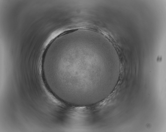 X0000095120054200712071249