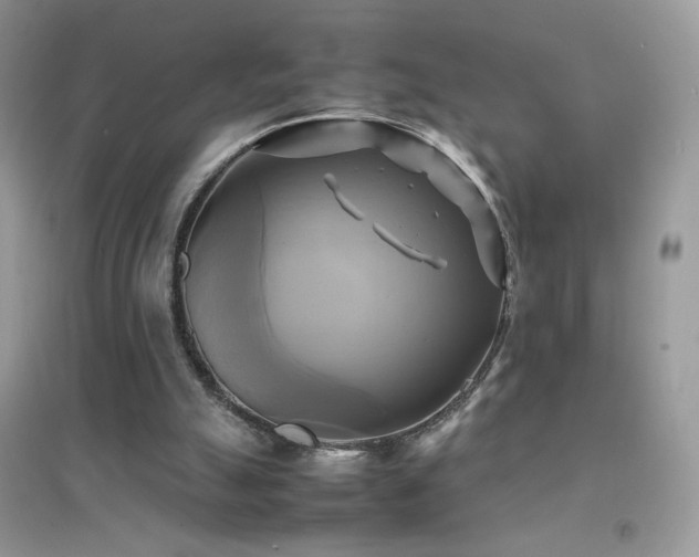 X0000095120055200712071249