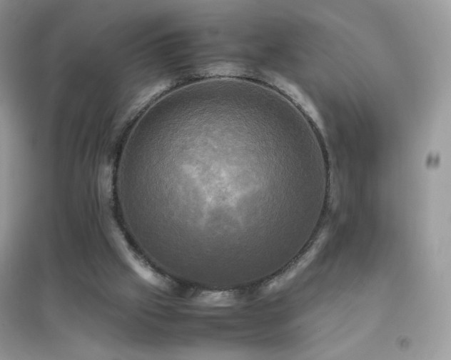 X0000095120057200712071249