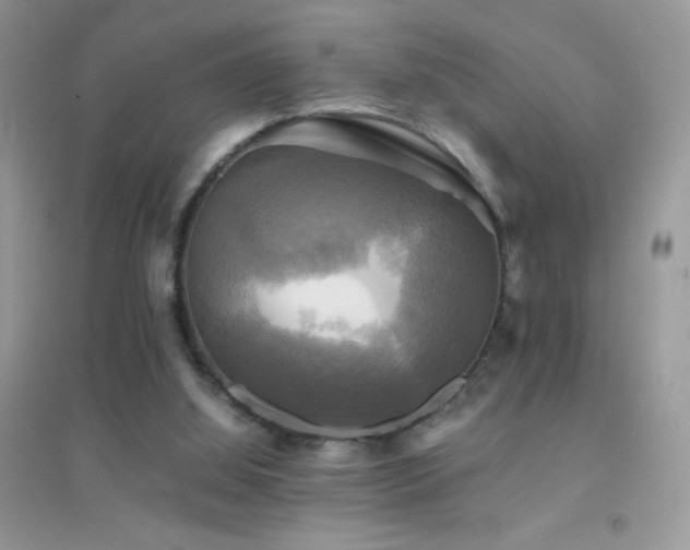 X0000095120060200712071249