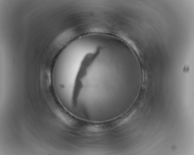 X0000095120061200712071250