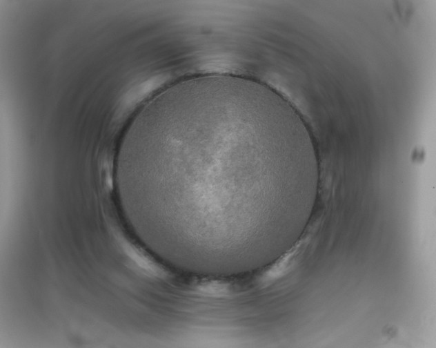 X0000095120062200712071250