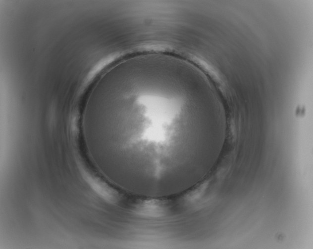 X0000095120064200712071250