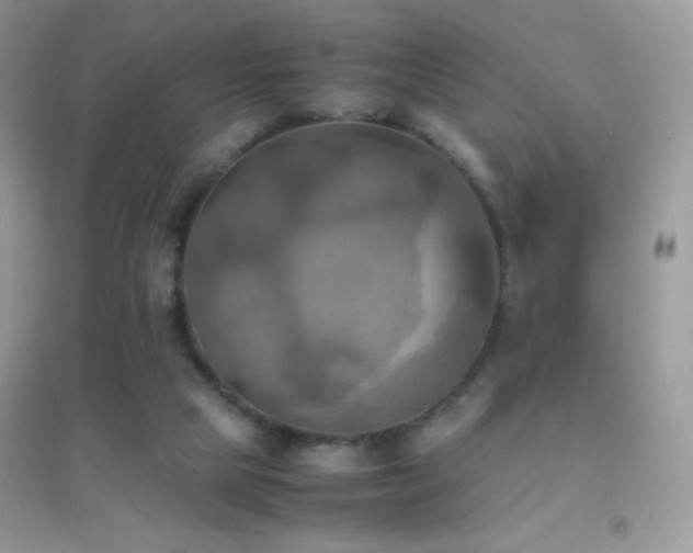 X0000095120065200712071250