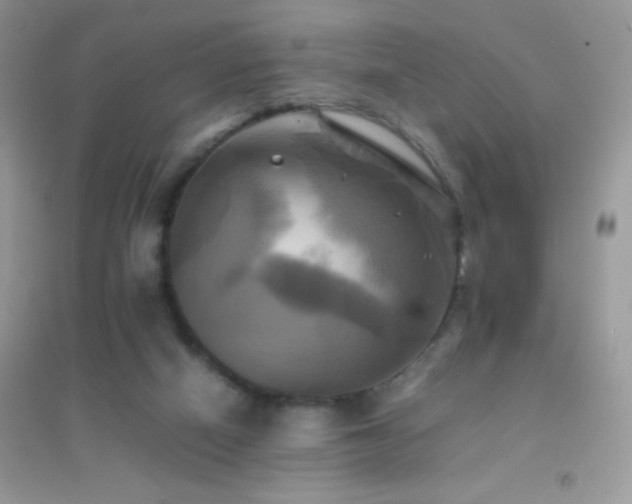 X0000095120066200712071250