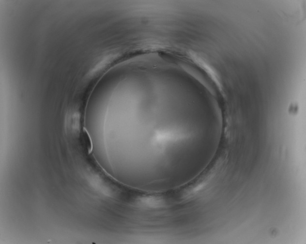 X0000095120067200712071250