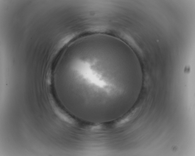 X0000095120068200712071250