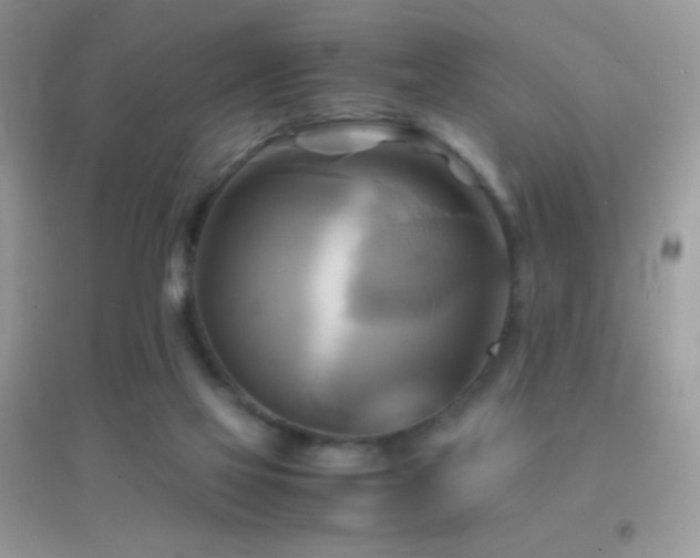 X0000095120069200712071250