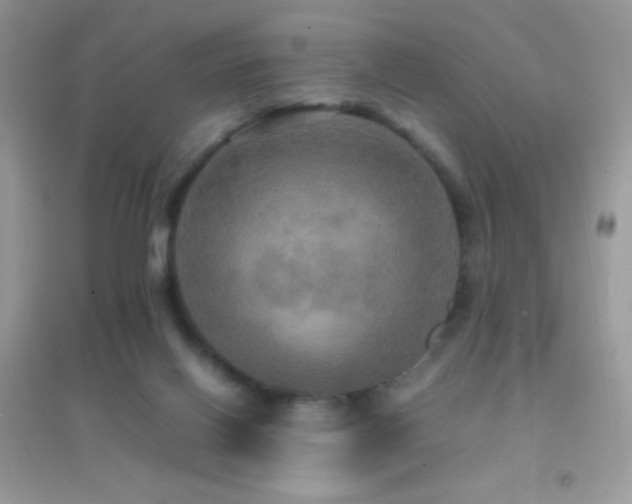 X0000095120070200712071250